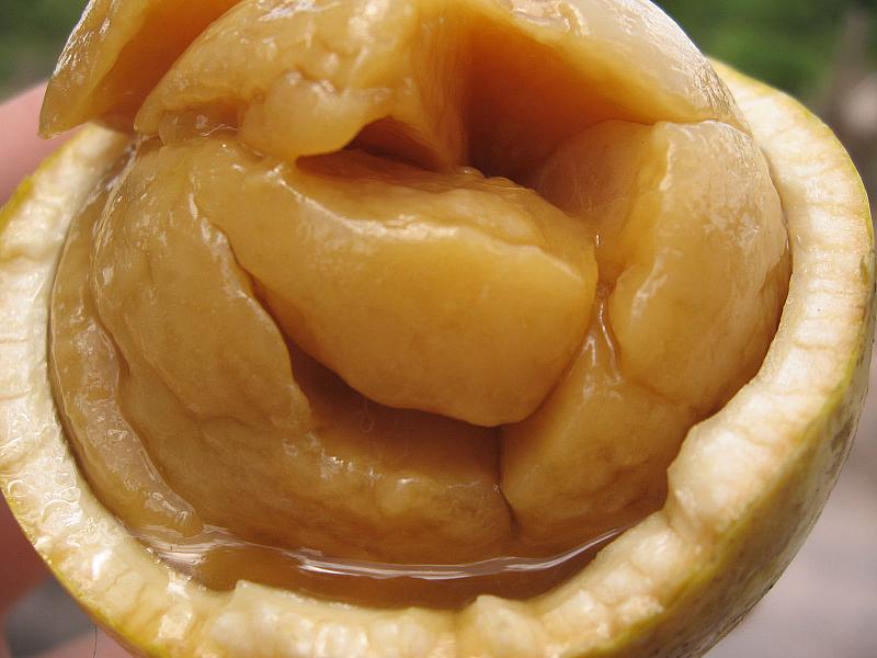 מה אכל האדם הקדמון – 30 בננות ליום
